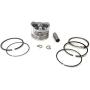 ITACO Piston Kit Ring Set Assy 13101-ZM5-000 13101-ZM5-030 for Honda Motor GX31, FG100, HHE31C, UMK431, WX10-4 Stroke, Chinese 139F Engine Lawnmower Trimmer