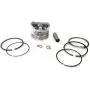ITACO Piston Kit Ring Set Assy 13101-ZM5-000 13101-ZM5-030 for Honda Motor GX31, FG100, HHE31C, UMK431, WX10-4 Stroke, Chinese 139F Engine Lawnmower Trimmer