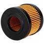 Castrol CAS10358 20,000 Mile Premium Synthetic Oil Filter