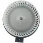 A-Premium Heater Blower Motor with Fan Cage Replacement for 2012-2017 Ford Explorer Taurus Flex Lincoln MKS MKT