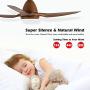 TCL 52 inch LED Ceiling Fan with Remote Control, 3 blade Ceiling Fan Noiseless Reversible DC Motor,6-speed, 3 colors Temperature Switch,Timer (52”Chestnut)