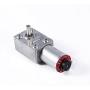 DC Worm Gear Motor 12V High Torque Reduction Gear Box with Encoder Srong Self-Locking 6mm Output Shaft(20RPM)