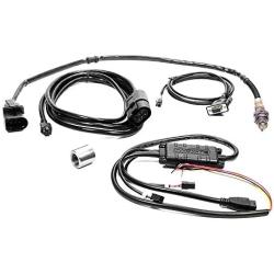 Innovate Motorsports (3877) LC-2 Digital Wideband Lambda Controller Kit with Bosch LSU 4.9 O2 Sensor
