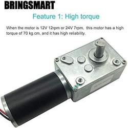 BRINGSMART Self-locking 24V 160rpm DC Worm Gear Motor 10kg.cm Reversed Mini Turbine Geared Motor for DIY Robot Curtain Machine Rotating Table Door Lock (24V 160rpm)