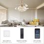 NOXARTE Chandelier Ceiling Fan Modern Dimmable Crystal Raindrop Ceiling Light Invisible Retractable Blades Fan for Bedroom Living Room Gold 36 Inch