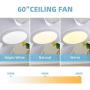 White Ceiling Fan, Newday 60 Ceiling Fans with Lights and Remote, Modern Large Ceiling Fans, Noiseless Reversible DC Motor, Big Indoor Ceiling Fans for Kitchen, Bedroom, Living Room (NEW)