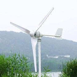 NINILADY 2000W Horizontal Wind Turbine with Hybrid Controller Inverter 24v 48v 96v Wind Generator Free Energy (48V, Wind Turbine Only)