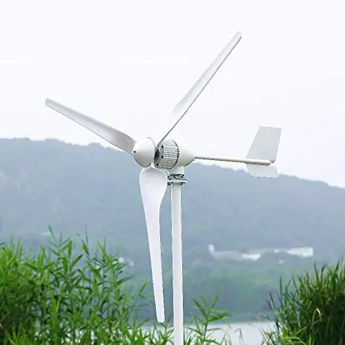 NINILADY 2000W Horizontal Wind Turbine with Hybrid Controller Inverter 24v 48v 96v Wind Generator Free Energy (48V, Wind Turbine Only)