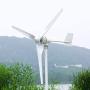NINILADY 2000W Horizontal Wind Turbine with Hybrid Controller Inverter 24v 48v 96v Wind Generator Free Energy (48V, Wind Turbine Only)