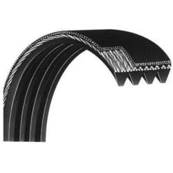 BH Fitness d&d Motor Drive Belt 483J Metric or 190j Standard S5Ti-74 Works W S5Ti Treadmill