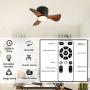 GESUM Ceiling Fan with Lights Remote Control, 22 lnch Small Ceiling Fan with Light 3 Reversible Blades, Low Profile Ceiling Fan for Kitchen Bedroom Dining Room, 3 Colors, 6 Speeds, Black…