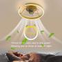 Ceiling Fan with Light and Remote Control, Modern Fan Light with 3 Invisible Fan Blades, Noiseless Reversible DC Motor for Bedroom/Living Room/Study/Kitchen/Porch (Gold) Ceiling Fan with Light and Remote Control, Modern Fan Light with 3 Invisible Fan Blades, Noiseless Reversible DC Motor for Bedroom/Living Room/Study/Kitchen/Porch (Gold)