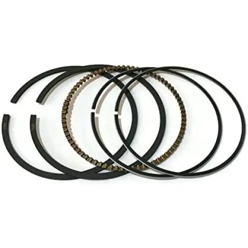 Kit d'Anneaux de Piston ITACO 795690 795132 790909 Remplace Briggs & Stratton 3.75HP 4HP 4.5HP 5HP 65MM Moteur de Robot Moteur de Tronneuse à Rasoir Kit d'Anneaux de Piston ITACO 795690 795132 790909 Remplace Briggs & Stratton 3.75HP 4HP 4.5HP 5HP 65MM Moteur de Robot Moteur de Tronneuse à Rasoir