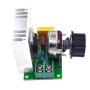 Hot Voltage Regulator Adjustable Motor Speed Controller AC 220V 4000W SCR Dimmer Module