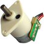 Gm12-15by Mini Stepping Motor for Insulin Syringe Application