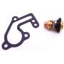 SouthMarine Boat Engine 6E5-12411-00 6E5-12411-02 Thermostat and 682-12414-A1 Gasket for Yamaha 9.9hp 15hp 2-Stroke E9.9B E15B 9.9C Outboard Motor
