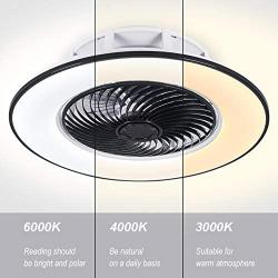 Ceiling Fan with LED Lights, 22