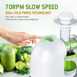 Slow Masticating Juicer Machine, Cold Press Juicer Extractor 95% Juice Yield, Celery Juicer Machines with Ceramic Auger, Quiet Motor, Reverse Function, 100% Original Vegetable and Fruit Juice, Sorbet