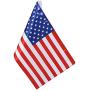 Motorcycle Flag Replacement 6