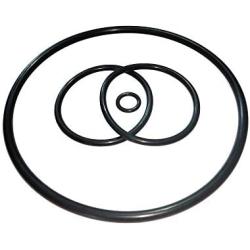 Shaft Seal & O-ring Rebuild Kit Replacement For XP2 Series Pool Pump (1/Pack)