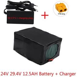 Wnicek Ebike Battery 24V12.5AH Ebike Battery Pack for 700W 500W 350W E-Bike Motors 12500mAh Lithium-ion Battery Pack with 20A BMS + Charger