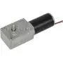 TSINY Small High Torque 24 Volt Reversible 120RPM DC Worm Gear Motor for BBQ Drive Replacement