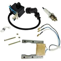 JLD CDI Ignition Coil Motorized Bicycle Magneto Coil Spark Plug for 2 Stroke 48cc 49cc 66cc 80cc Engine Bike Motors