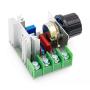 DUTTY 2000W AC Motor Speed Controller 50-220V 2 Adjustable Motor Speed Controller Voltage Regulator