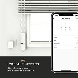 QUOYA Smart Electric Chain Blinds Motor, WiFi Roller Blind Driver, Compatible with Alexa Google Home Voice Control, Tuya Smart Life App (MC08, One Motor) (MC08, One Motor)