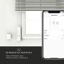 QUOYA Smart Electric Chain Blinds Motor, WiFi Roller Blind Driver, Compatible with Alexa Google Home Voice Control, Tuya Smart Life App (MC08, One Motor) (MC08, One Motor)
