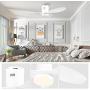 48 inch Ceiling Fan with Light and Remote, Indoor Low Profile Ceiling Fan with 6 Speeds 3 Color LED light DC Motor, ,White ,F5661A