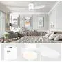 48 inch Ceiling Fan with Light and Remote, Indoor Low Profile Ceiling Fan with 6 Speeds 3 Color LED light DC Motor, ,White ,F5661A