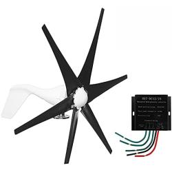 coldwind Wind Turbine Generator + Controller 6 Black Blades Horizontal Windmill Strong Power Powered Electric Aerogenerator Green Energy Generating-Black 48v