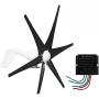 coldwind Wind Turbine Generator + Controller 6 Black Blades Horizontal Windmill Strong Power Powered Electric Aerogenerator Green Energy Generating-Black 48v