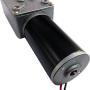 TSINY 27rpm Low Rpm Small 12v DC Worm Electric Right Angle Gear Motor with 8mm Out Shaft