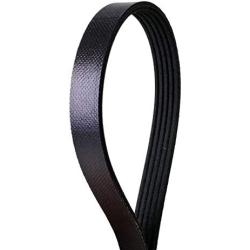 Continental Elite 4050272S Poly-V/Serpentine Stretch Belt Assorted One Size