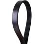 Continental Elite 4050272S Poly-V/Serpentine Stretch Belt Assorted One Size