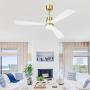 CLUGOJ White Ceiling Fan with Dimmable LED Lights 52