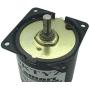 Bringsmart 60ktyz 80rpm Ac Motor Low Noise Gearbox Electric Motor Barbecue High Torque Low Speed 110V Synchronous AC Reduction Motor (110V 80rpm)