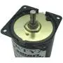 Bringsmart 60ktyz 5rpm Ac Motor Low Noise Gearbox Electric Motor Barbecue High Torque Low Speed 110V Synchronous AC Reduction Motor (110V 5rpm)