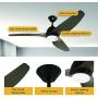 Nocolliny Modern Ceiling Fan 52