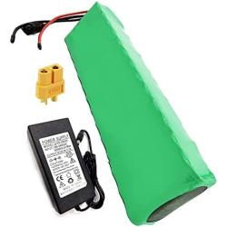 HJGHY 24V 12Ah Battery E-Bike Lithium Battery Pack, Li-Ion Battery with Charger, for 200W ~ 500W Motor, Electric Bike Motorcycle Scooter