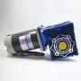 TOPCHANCES Electric 120W DC 12V RV40 Worm Gear Motor Adjustable Speed DC Motor Self-Locking Reducer Turbine Motor w/Self-Locking (Speed :30rpm)