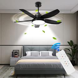 KAPOEFAN 46 Black Ceiling Fan with Lights and Remote, Flush Mount Ceiling Fan with Lights, Modern Ceiling Fan with Noiseless Reversible DC Motor - Adjustable Color Temperature - 6 Speeds -Timing Function for Indoor and Outdoor