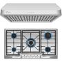 Empava Cabinet Range Hood with 500 CFM Dual Motor and 36