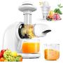Slow Masticating Juicer Machine, Cold Press Juicer Extractor 95% Juice Yield, Celery Juicer Machines with Ceramic Auger, Quiet Motor, Reverse Function, 100% Original Vegetable and Fruit Juice, Sorbet