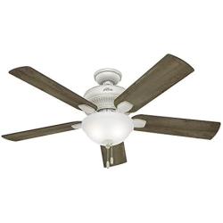 Hunter Matheston Indoor / Outdoor Ceiling Fan with Light and Pull Chain Control