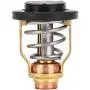 Acouto Boat Engine Thermostat, 67F-12411-01 Boat Motor Thermostat Valve Fit for Yamaha F75 F80 F90 F100 F150 VF200 3P-225P Horsepower Outboard