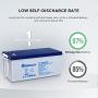 Renogy 12V 200AH Rechargeable Deep Cycle Hybrid Gel Battery for Solar Wind RV Marine Camping UPS Wheelchair Trolling Motor, Maintenance Free, Non Spillable