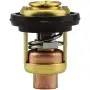 YIXIN 688-12411 6H3-12411 6E5-12411 T15-04000010 Thermostat Fit for Yamaha Parsun Makara Marine 2-Stroke 3HP 15HP 25HP 30HP 40HP - 250HP Outboard Motor